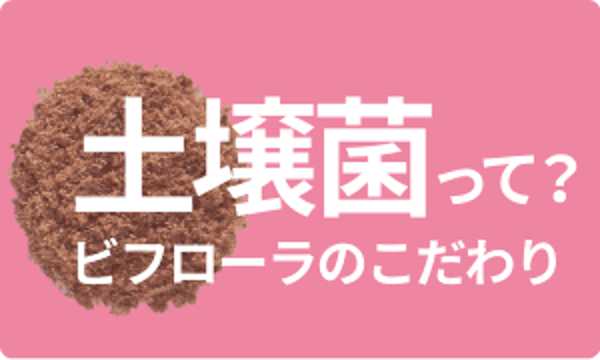 ビフローラエンザイム 公式 ビフローラエンザイム 公式