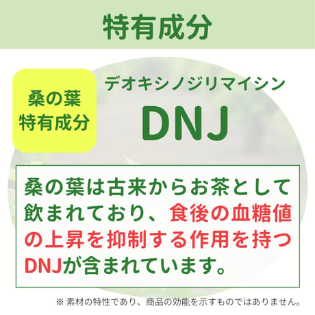 マルベリーエンザイム 60包