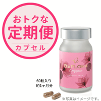 エンザイムフローラ 1箱(25g×60袋) 未開封 ×2 エンザイムフローラ 1箱(25g×60袋) 未開封｜Yahoo!フリマ（旧