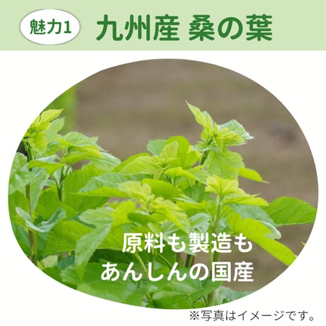 マルベリーエンザイム 60包