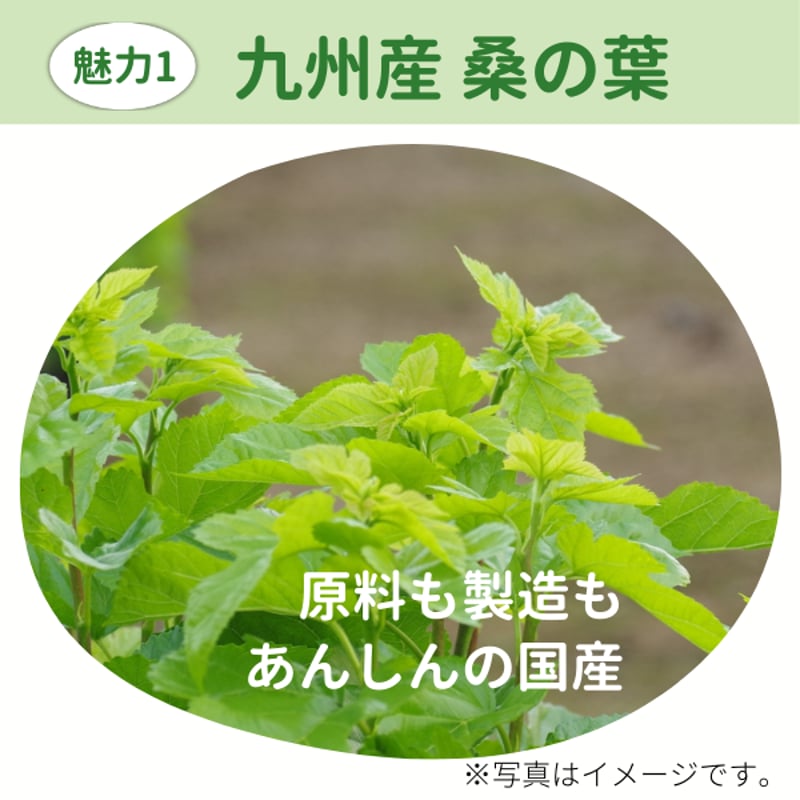 【ユキさん専用　再出品】ENZYME FLORA 発酵 60包入り ユキさん専用 再出品】ENZYME FLORA 発酵 60包入り - メルカリ