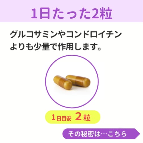 フィットラボコラーゲン60粒