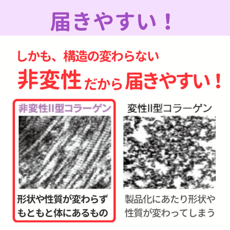 フィットラボコラーゲン60粒