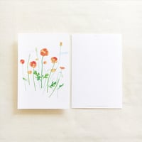 ポストカード【ナガミヒナゲシ：1枚】-2023年CALENDAR「 H A N A U T A 」シリーズ-