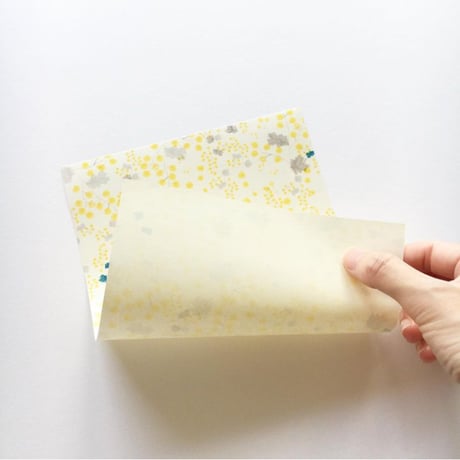 tomarigi letter【mimosa】