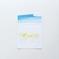 \ new / ポストカード【風光る：1枚】-2026年CALENDAR「 SHOUKEI  」シリーズ-