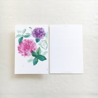 ポストカード【アジサイ：1枚】-2024年CALENDAR「H I B I H A N A 」シリーズ-