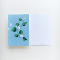 ポストカード【ドクダミ：1枚】-2024年CALENDAR「H I B I H A N A 」シリーズ-