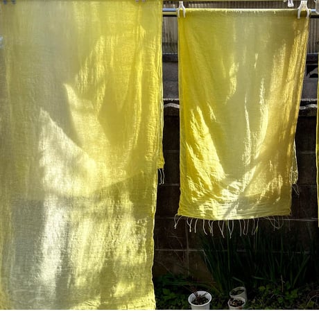 森から色をいただく草木染《草木染ワークショップ・通年》