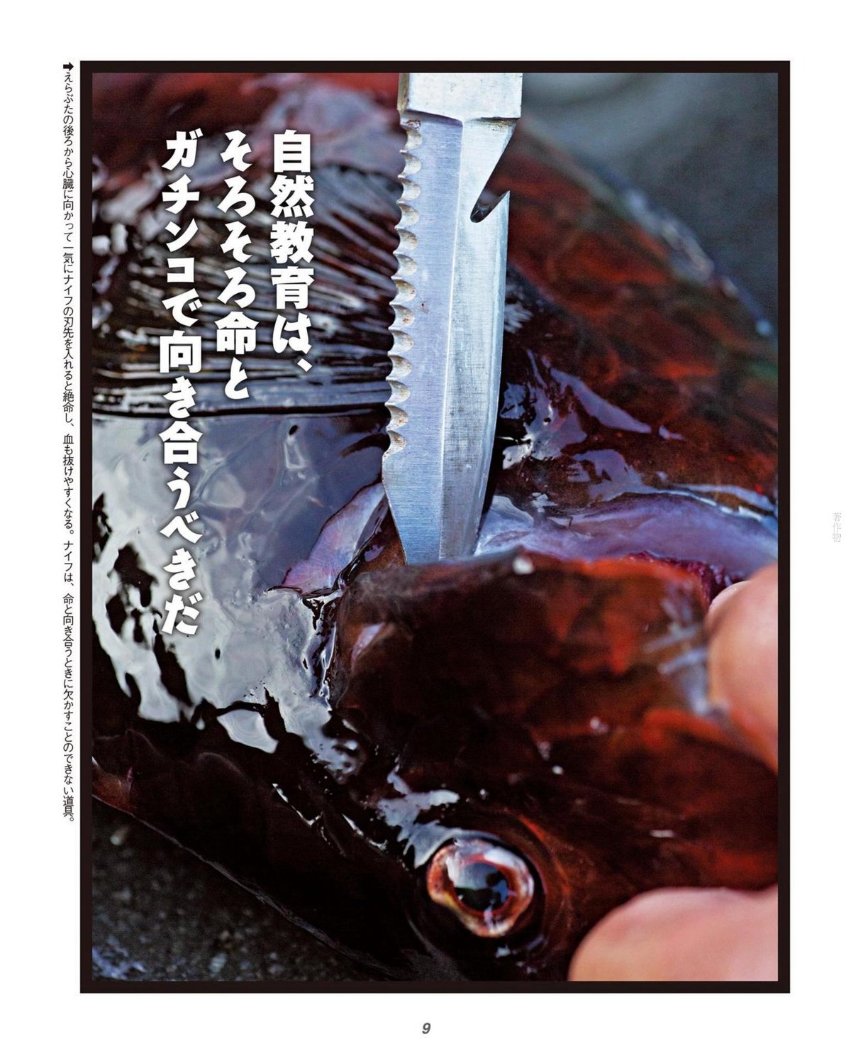 刃物をめぐる68の物語』 | GreenWoodwork協会直営店