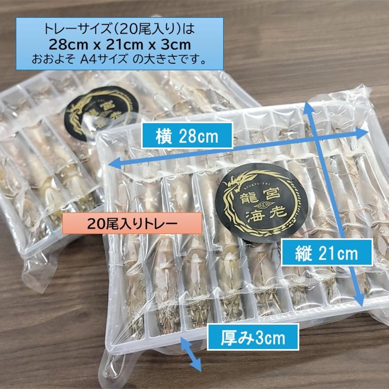 養殖場から直送】活き〆急速冷凍 沖縄産 龍宮海老（バナメイエビ