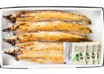 うなぎ白焼き（4尾）特特大／約170g 冷凍真空パック | うな徳屋