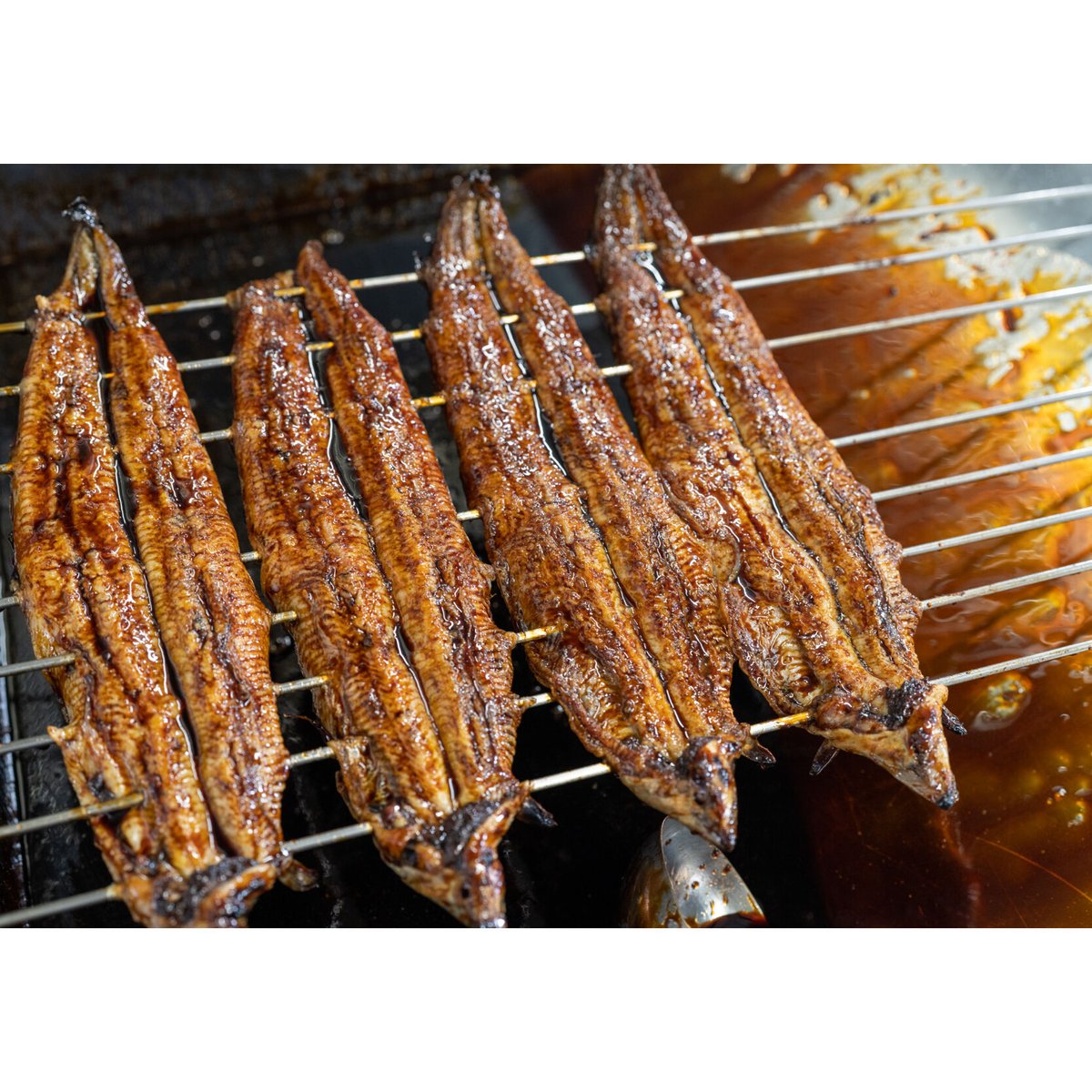 うなぎ蒲焼（2尾 特大／約130g）冷凍真空パック | うな徳屋