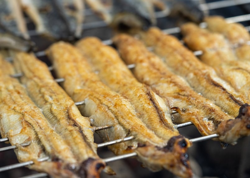 うなぎ白焼き（4尾）大／約130g 冷凍真空パック | うな徳屋