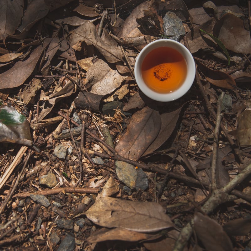 お茶3種ギフトセット（箱）（名入れ熨斗対応可） | Jack Farm 's STORE