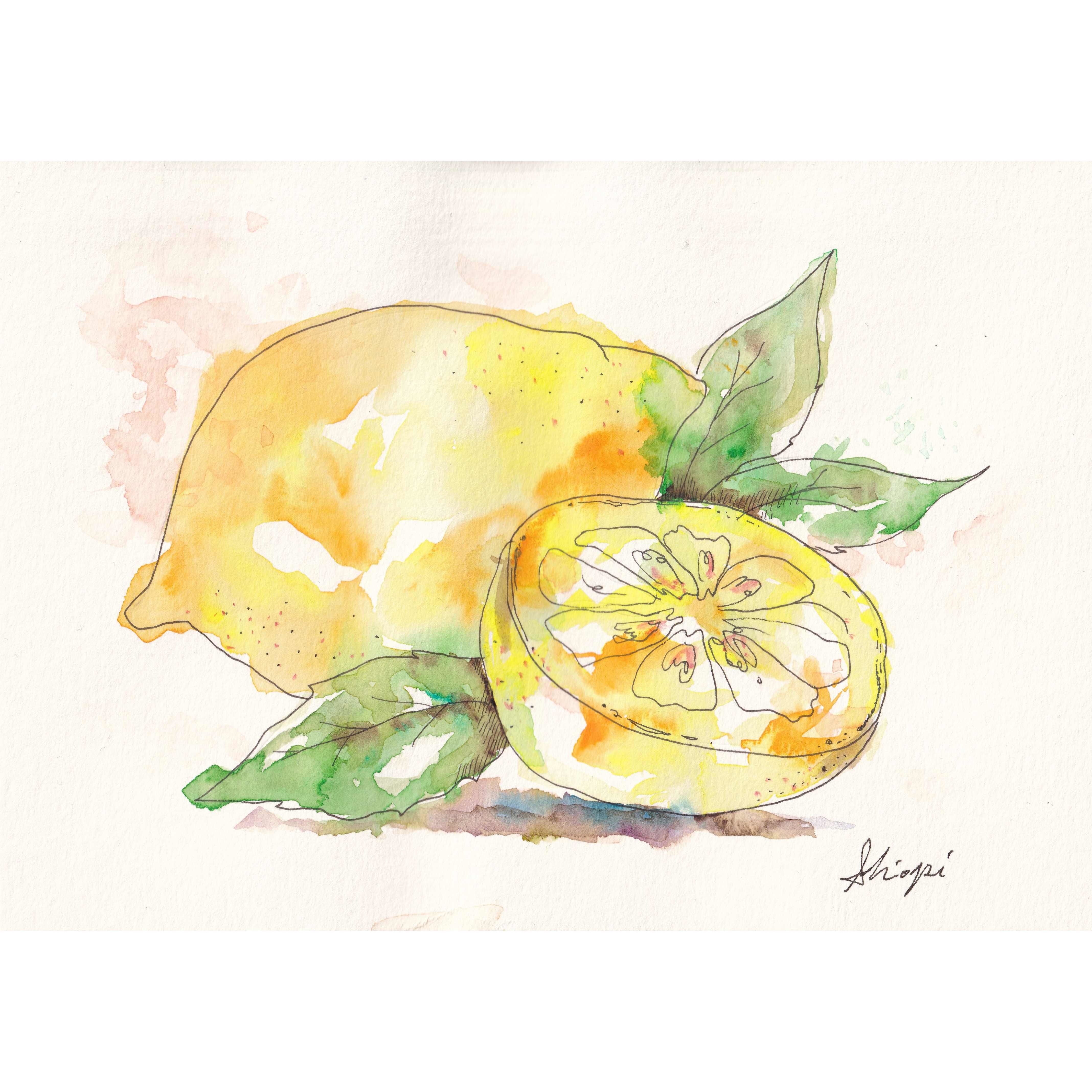 紫陽花とレモンの水彩画 額装品 original
