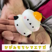 ピアス レモンスライス | サンプルビレッジいわさき online shop