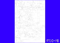205c 路地に咲く花