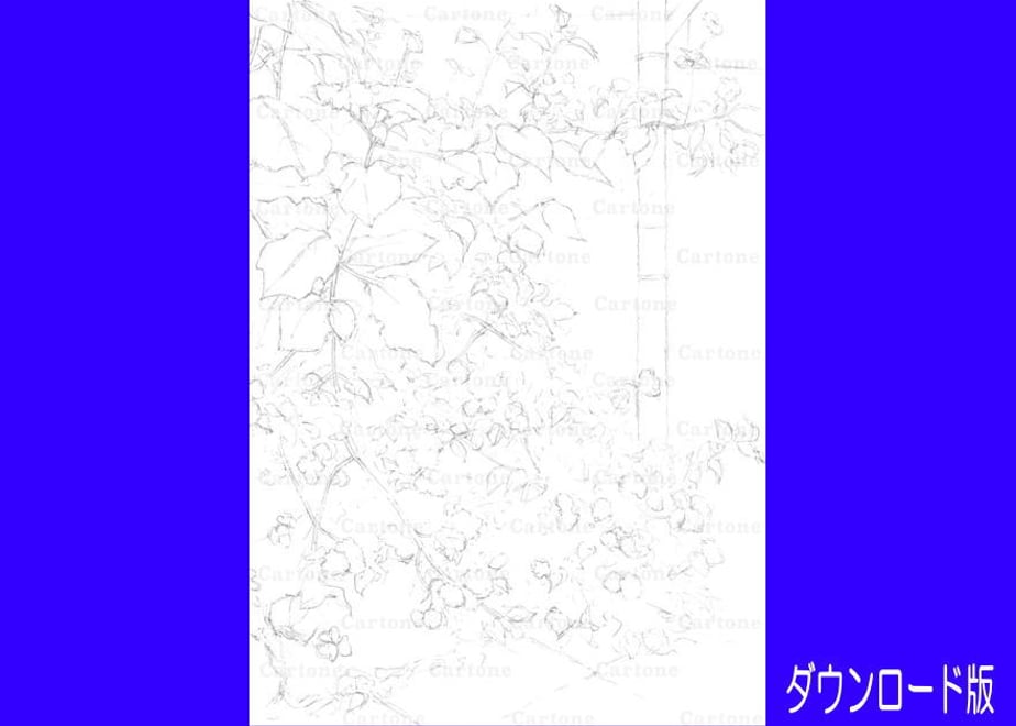 66cd985f80c8d804fff3e4ae