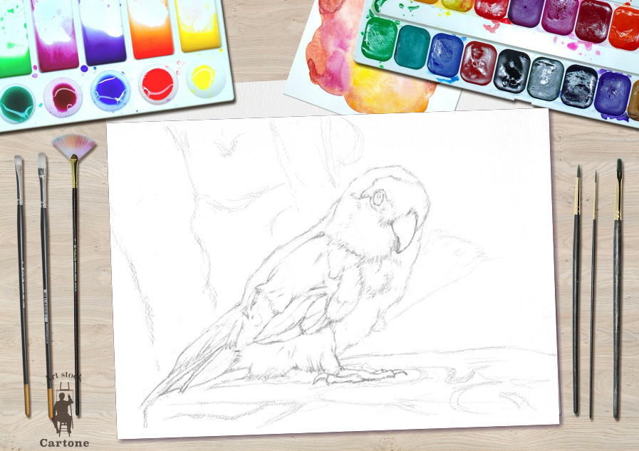 カラフルなインコの絵皿27センチ 額入り原画A4『幸せの花束』 鳥 アート セキセイインコ