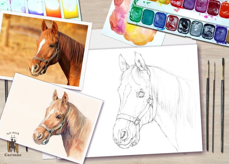 友人が書いた馬の頭部の色鉛筆イラスト 友人が書いた馬の頭部の色鉛筆イラスト 友人が書いた馬