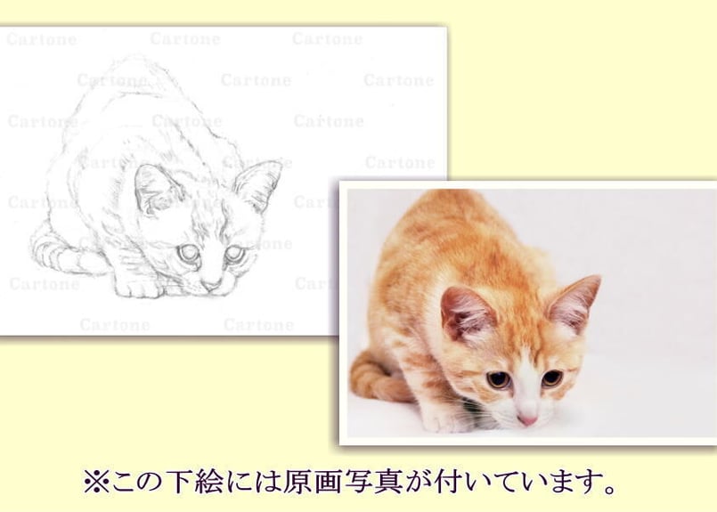 090a 屈む猫 | 下絵工房カルトーネ
