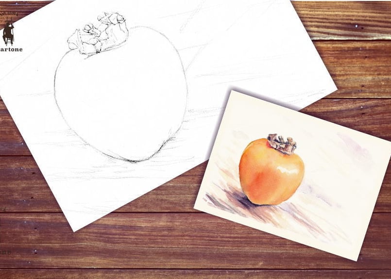 014b 柿 （着彩見本付き） | 下絵工房カルトーネ