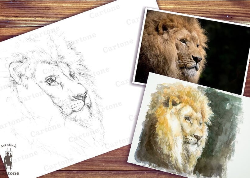 原画【ライオン】 096b ライオン （着彩見本付き） | 下絵工房カルトーネ