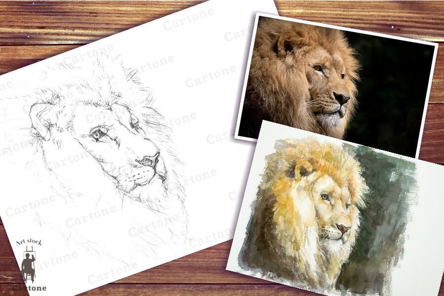 096b ライオン （着彩見本付き） | 下絵工房カルトーネ