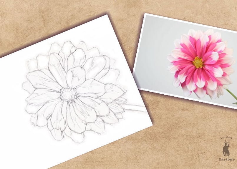 024a ピンクの花 | 下絵工房カルトーネ