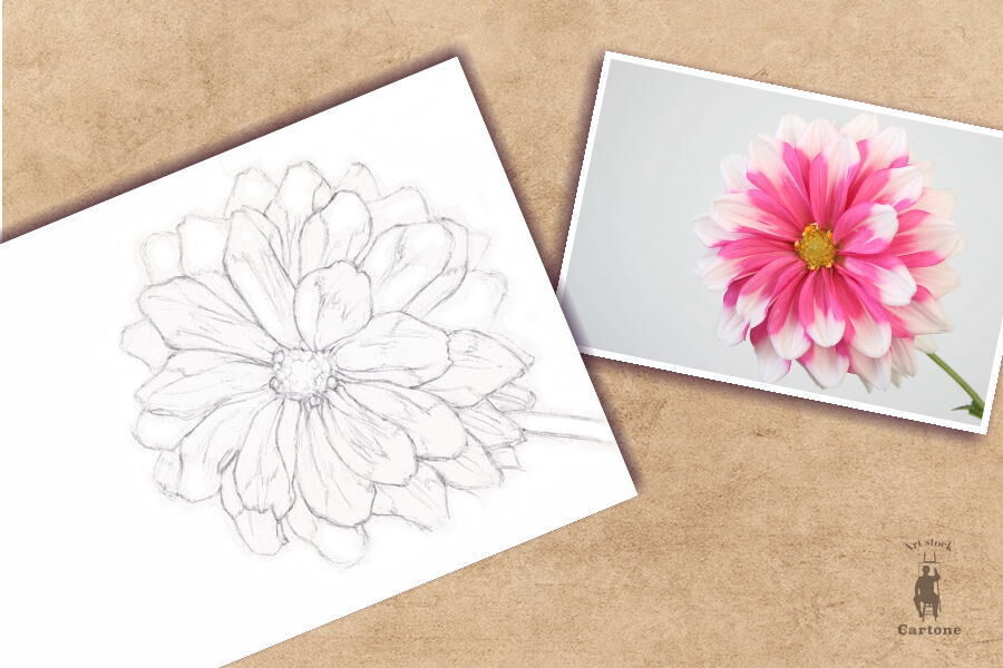 油彩画 花 ピンク ダークグリーン 木版画のことなら『木版画 版元 芸艸堂 Woodblock print』