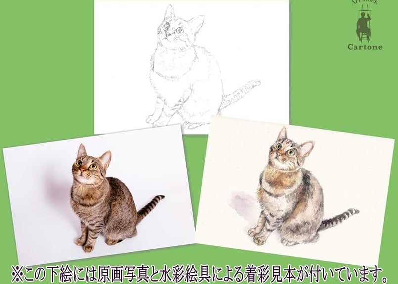 013b 上を見上げるネコ （着彩見本付き） | 下絵工房カルトーネ