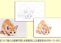 090d  屈む猫 （着彩見本付き）
