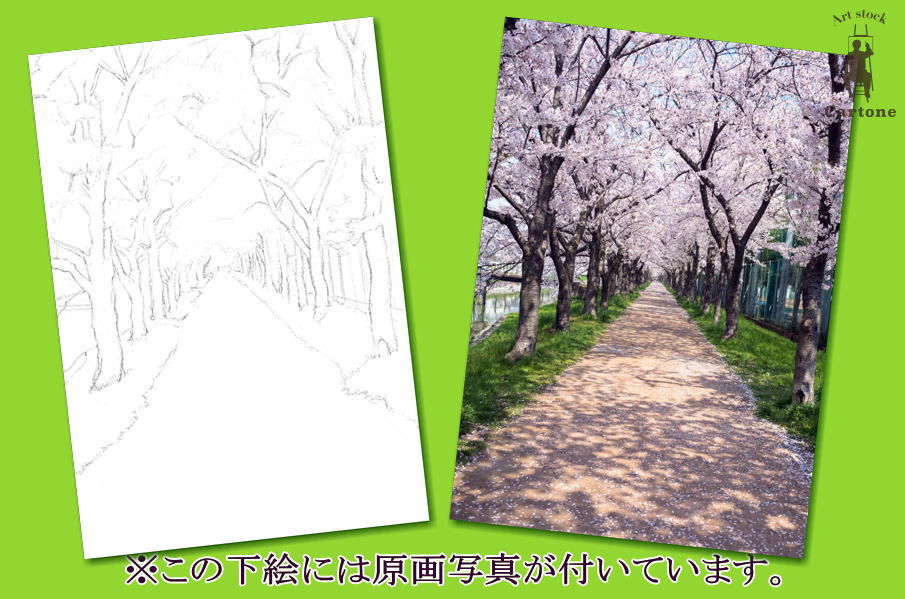油絵 絵画 【桜並木の道】 油絵 絵画 【桜並木の道】 - メルカリ