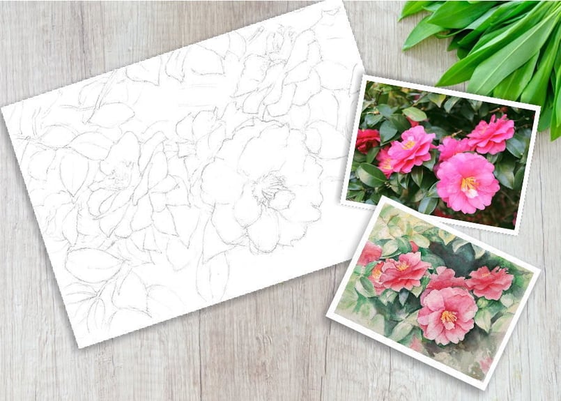 151b 椿の花 （着彩見本付き） | 下絵工房カルトーネ