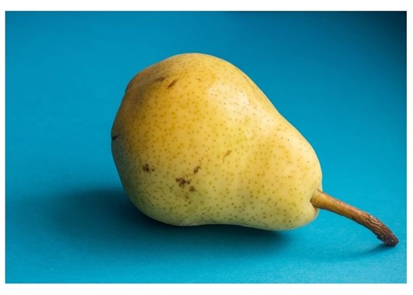 012b 洋梨（着彩見本付き） | 下絵工房カルトーネ