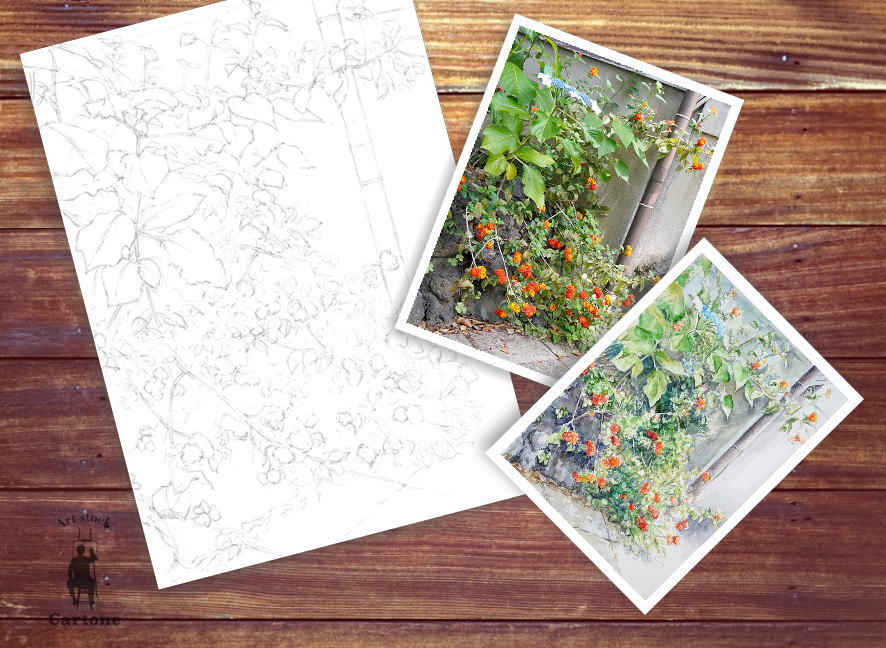 色鉛筆画A4 花咲く路地の先で 205d 路地に咲く花（着彩見本付き） | 下絵工房カルトーネ