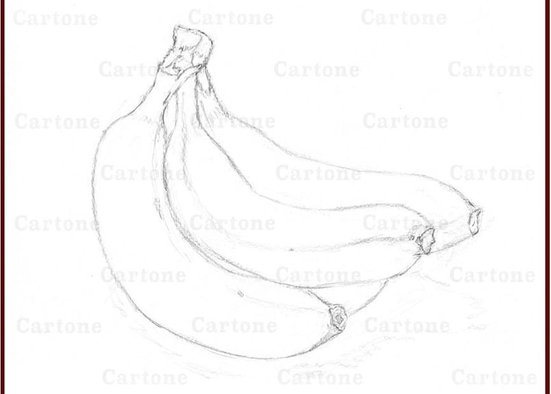 043d バナナ （着彩見本付き） | 下絵工房カルトーネ