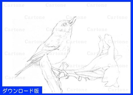 064d  赤い花と小鳥  （着彩見本付き）