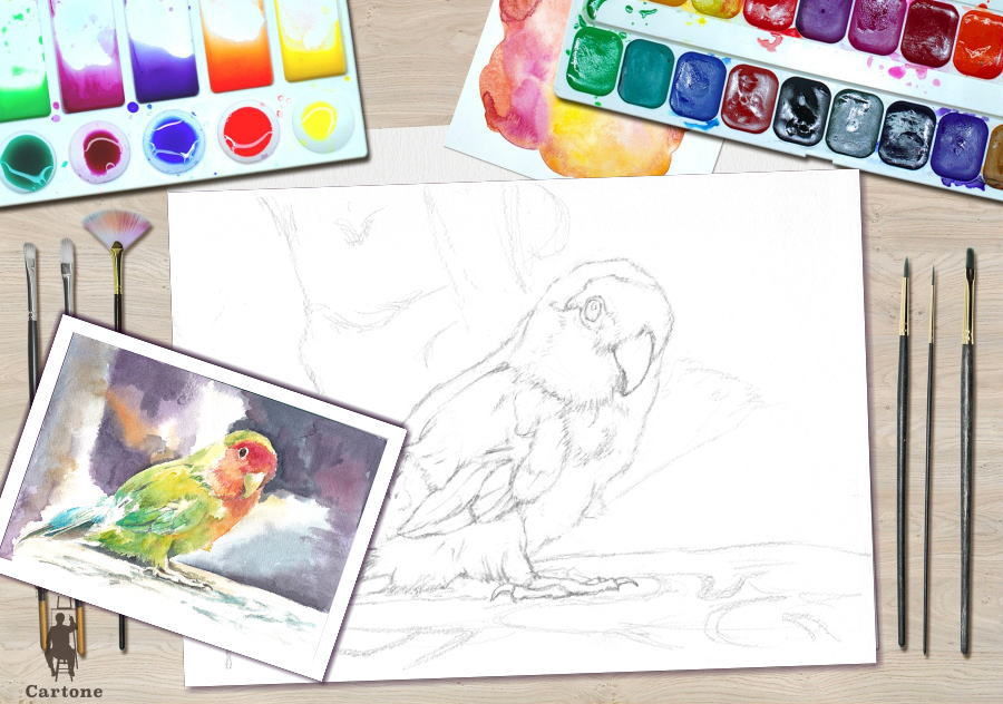 041b カラフルなインコ （着彩見本付き） | 下絵工房カルトーネ