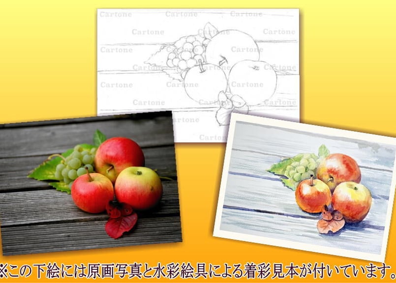 073d リンゴ （着彩見本付き） | 下絵工房カルトーネ