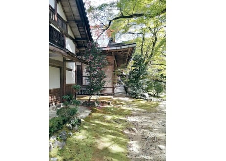 176a お寺の裏庭