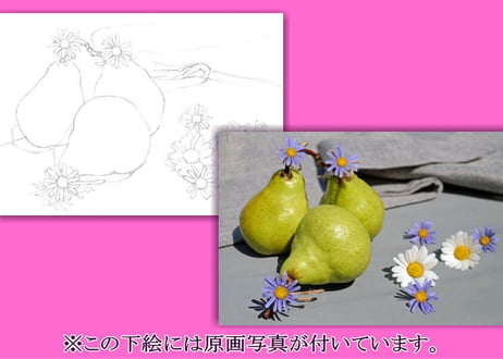 067a  洋ナシと花