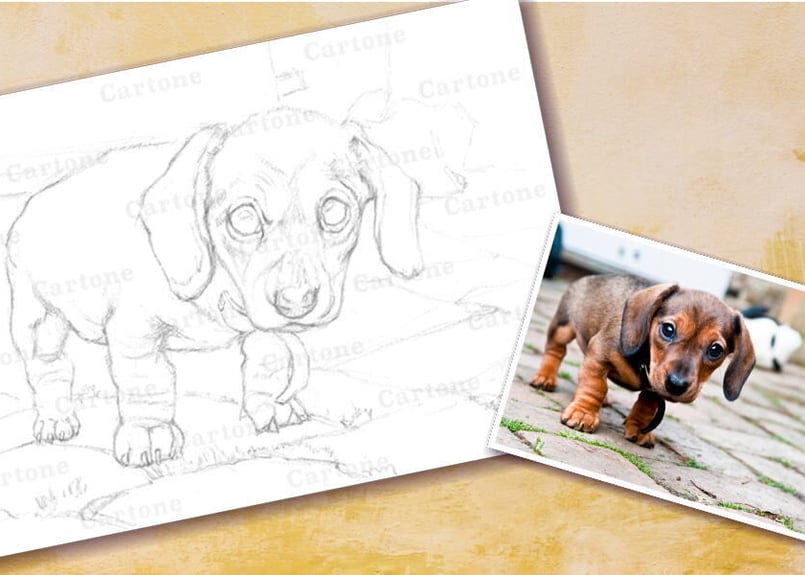 086c ダックスフンドの子犬 | 下絵工房カルトーネ