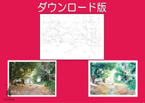 222d 森の小径 (着彩見本付き）