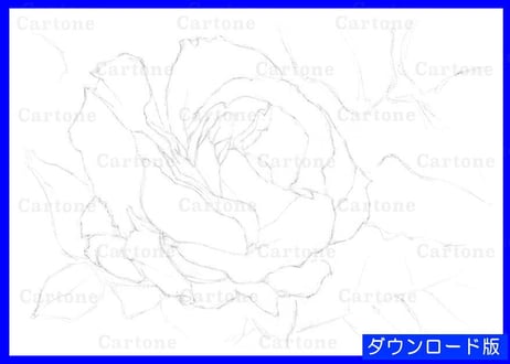 143c ピンクのバラ