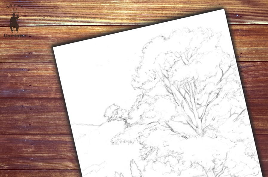 030a 森へ続く道 | 下絵工房カルトーネ