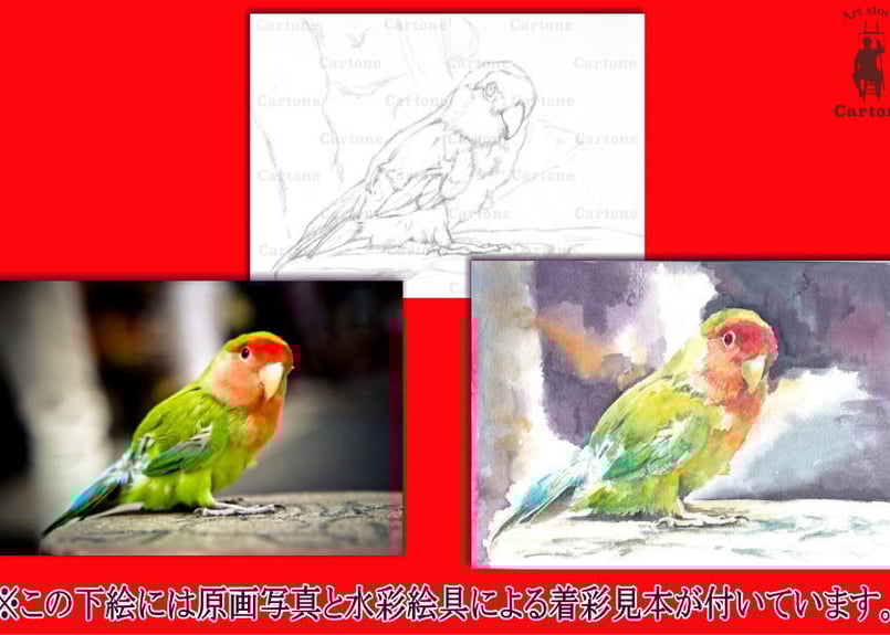 041d カラフルなインコ （着彩見本付き） | 下絵工房カルトーネ
