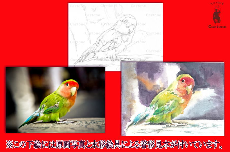041d カラフルなインコ （着彩見本付き） | 下絵工房カルトーネ