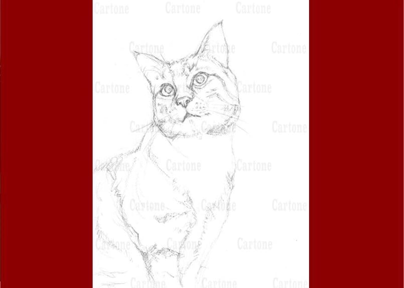 174a グレーの猫 | 下絵工房カルトーネ